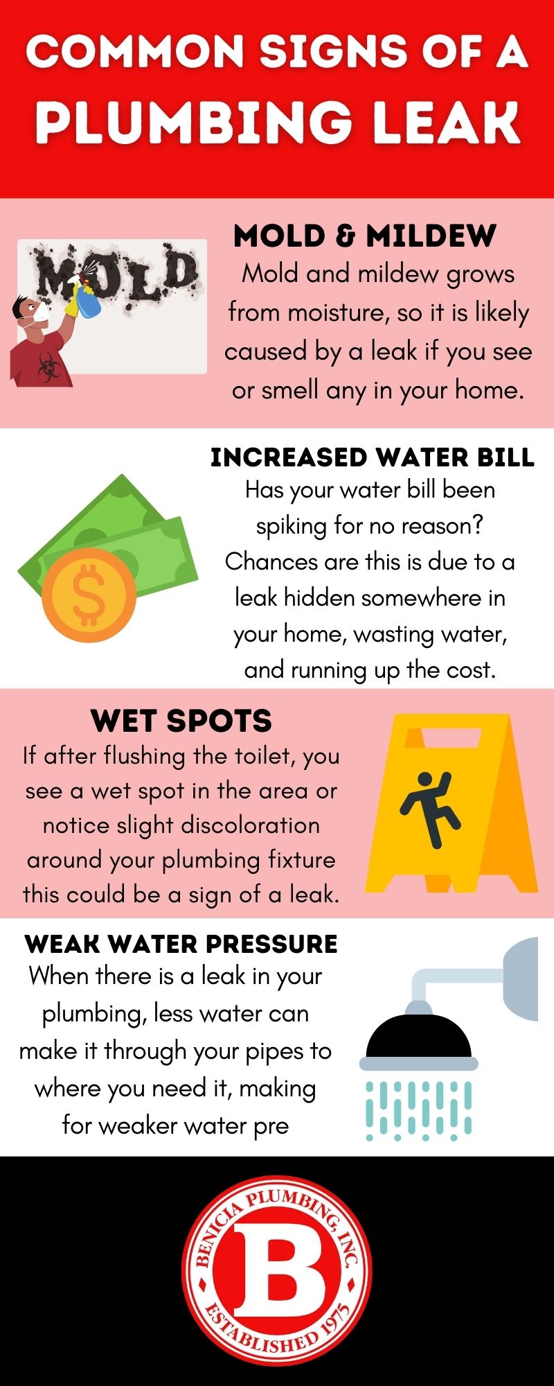 The Water Cycle Poster Infographic 